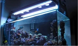 Aquarium light